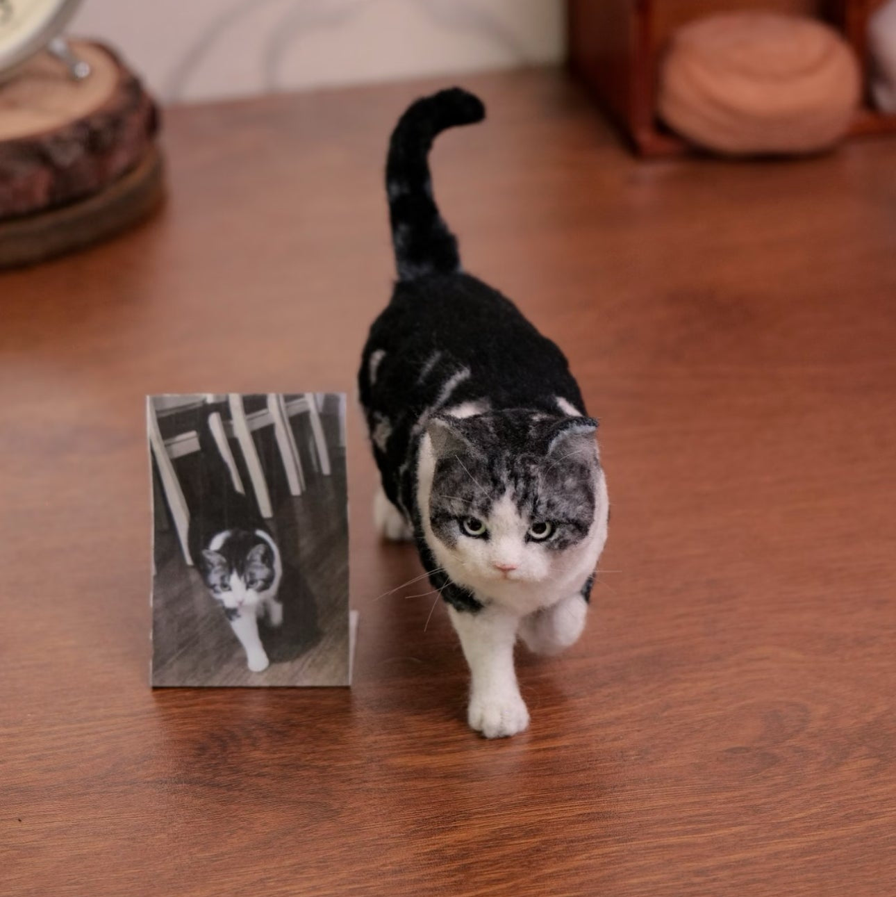 Full Body Portrait-Cat
