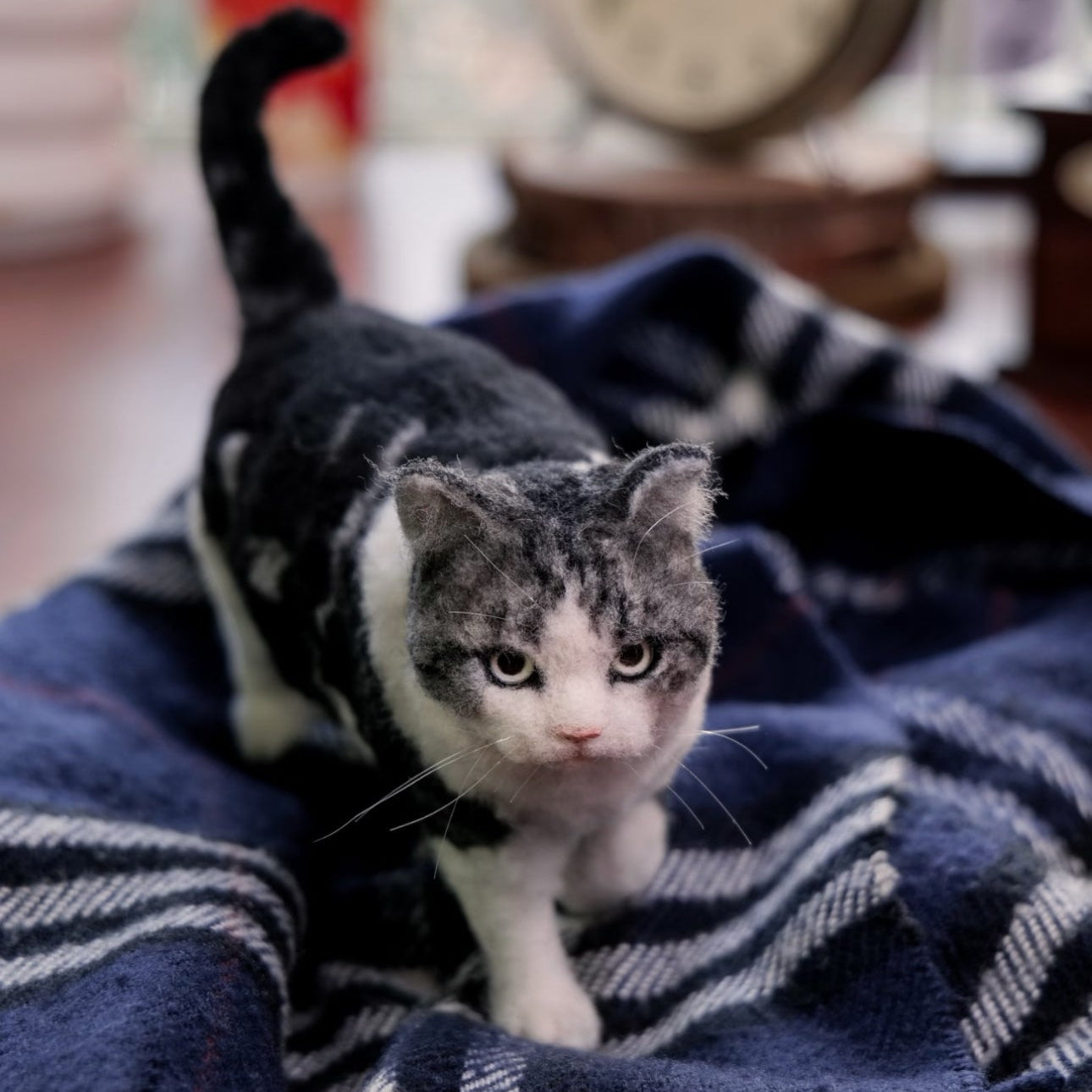Full Body Portrait-Cat