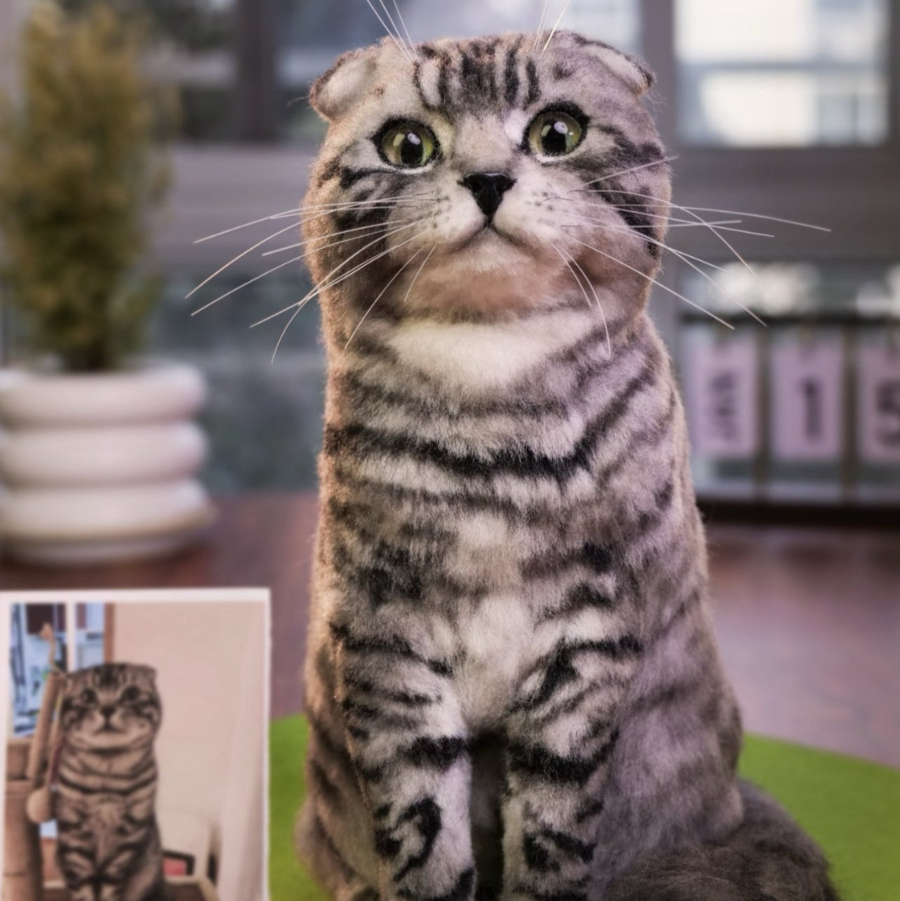 Full Body Portrait-Cat