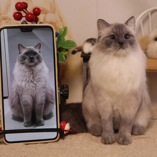 Full Body Portrait-Cat