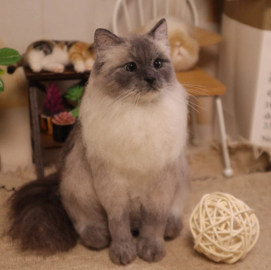 Full Body Portrait-Cat